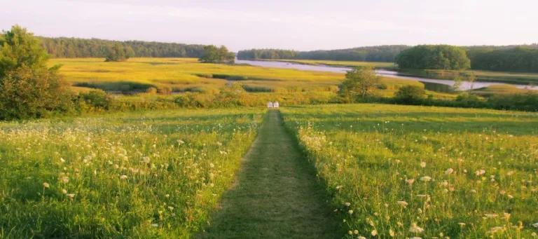 Green field with a path in the middle towards the horizon.
