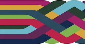 IS Change Programme Braid