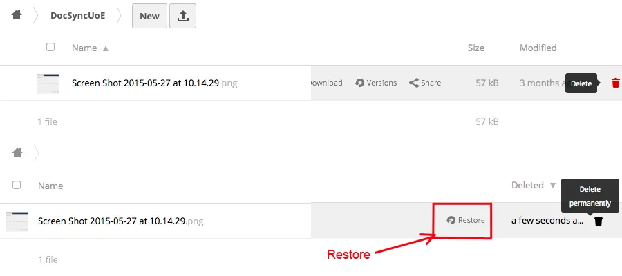 datasync deleting and restoring files
