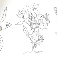 Colouring book homepage panel