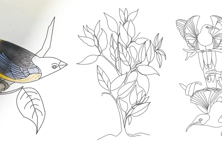 Colouring book homepage panel