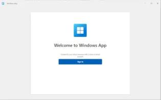 WindowsAPP