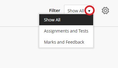 activity stream filter