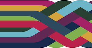 IS Change Programme Braid