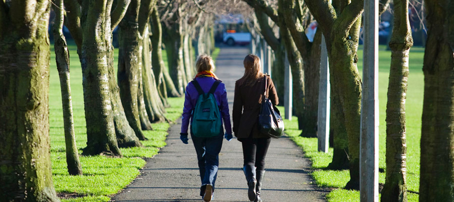 Students walking a walkway in The Meadows