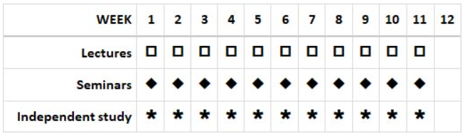 macro pattern B