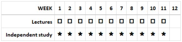 macro pattern D