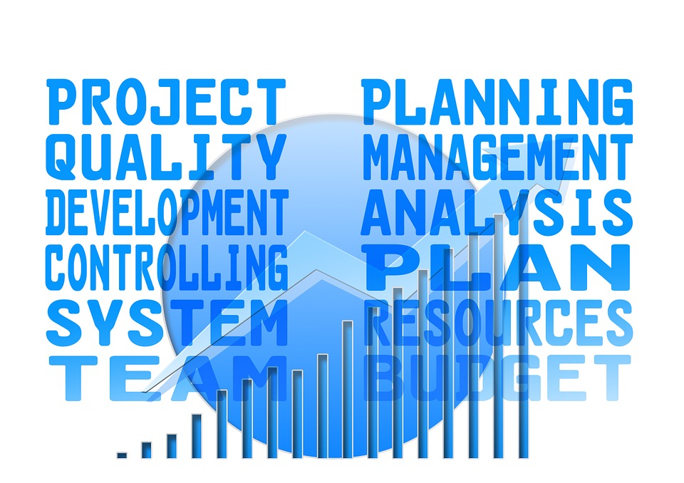 project management